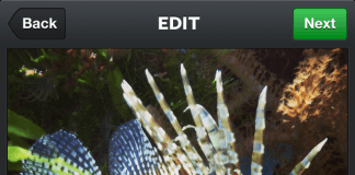 Instagram 3.4.0 pentru iPhone – update este disponibil in App Store