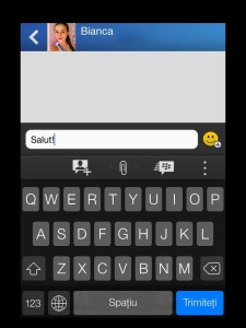 BlackBerry Messenger iPad