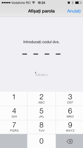 Vizualizare parola cod de acces introduce