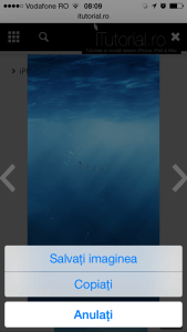 salvare imagine safari