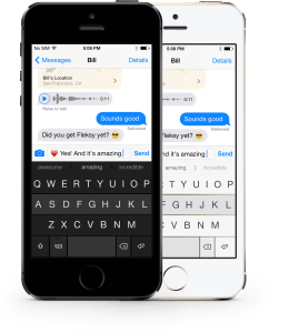 fleksy