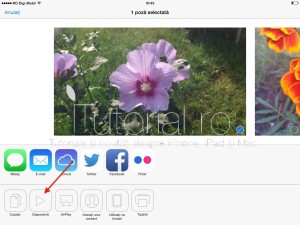 poze #itutorial.ro (1)