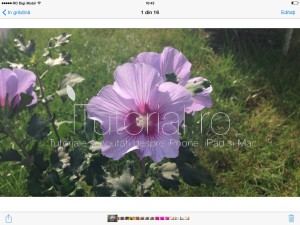 poze #itutorial.ro