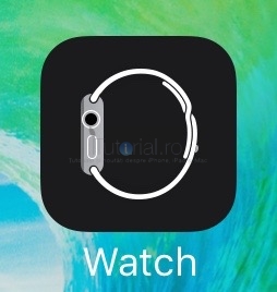 applewatch aplicatia ios9