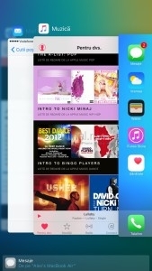 IMG_4172