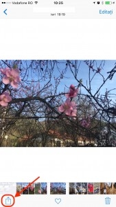 Partajați poze
