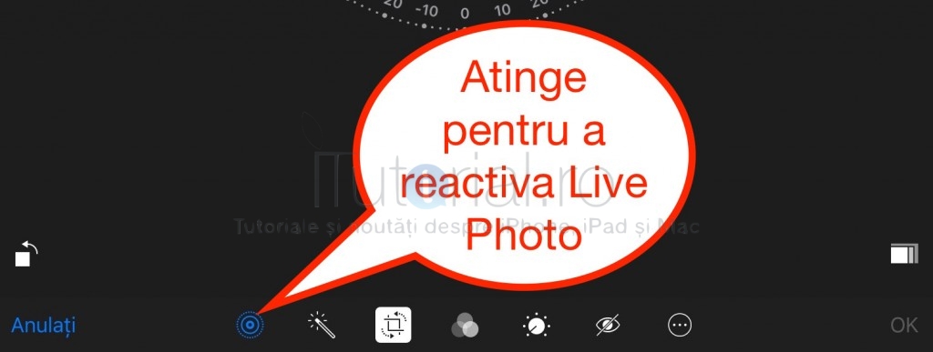 reactivare Live Photo