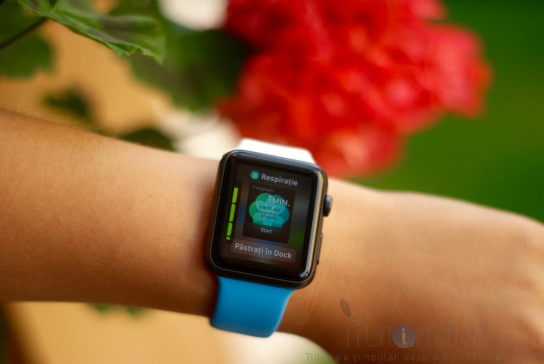 cum instalez watchOS 3 Dock Respiratie