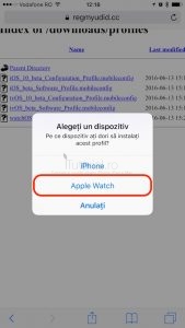 watchos3 ceas