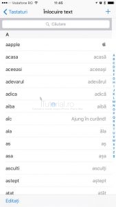inlocuire text lista