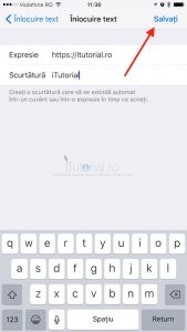 salvare inlocuire