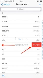 stergere inlocuire