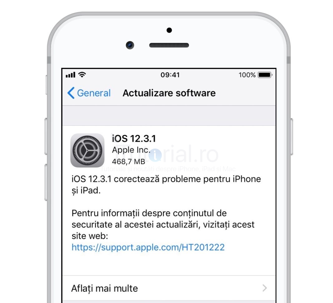 ios 12.3.1