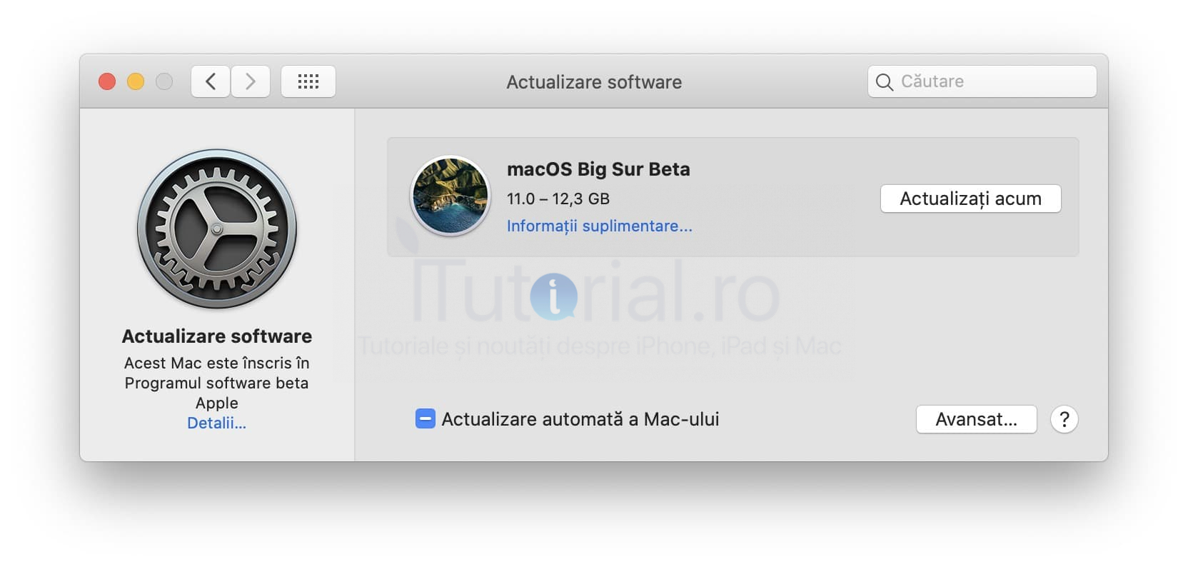 macOS Big Sur 11.0 public beta 1 a fost lansat pentru Mac macos big sur public beta